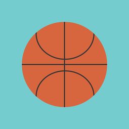 开云体育app下载-中国篮球联赛市场竞争环境分析与预测，篮球市场现状